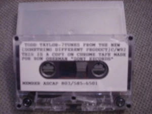 RARE PROMO Todd Taylor DEMO CASSETTE TAPE country BANJO Led Zeppelin Mancini cvr - Picture 1 of 1