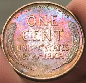 1909 VDB Lincoln Wheat Cent Rainbow Toning - Bild 1 von 2
