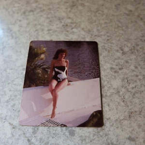 1983 Found Photo Playboy Bathing Suit - Picture 1 of 4