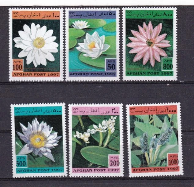 LI04 Afghanistan 1997 Flora - Flowers  mint stamps - Image 1 of 1