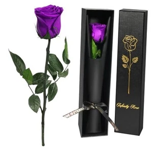 Preserved Flowers Rose Birthday Gifts for Mom Women,Mothers Single Rose Purple - Picture 1 of 7