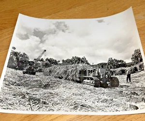 1938 CATERPILLAR TRACTOR Diesel Fifty Tractor Hauling Sugar - HONOLULU B&W Photo - Picture 1 of 7