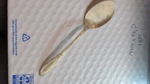 *1881 Rogers Oneida Silver Plate 6"  Jelly Spoon "CHATEAU" - Picture 1 of 3