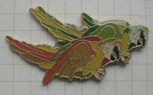 PAPAGEI / PARROT  .......................................... Comic Pin (137k) - Bild 1 von 1