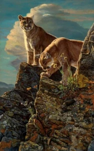 Watchful Sentry Mountain Lions, Kalon Baughan, Wall Art Print Poster 14" x 11" - Picture 1 of 1