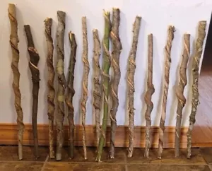 Set of 14 FRESH Cut Vine Twisted Stick FAIRY WANDS with Bark~ Read Description - Picture 1 of 2