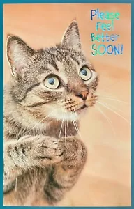 Cute GET WELL Card, "Please Feel Better Soon" Cat by Premium Greetings +Envelope - Picture 1 of 4