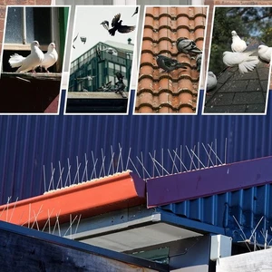 Bird Spikes Anti Pigeon Deterrent Kit Bird Spikes Anti Climb Security Wall Fence - Picture 1 of 28