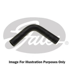 Gates 90 Degree Fuel Fill Hose 24717 - High Quality OE Replacement Part - Afbeelding 1 van 2
