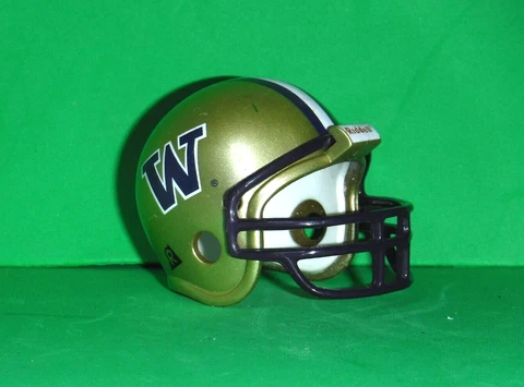 Washington Huskies Pocket Pro Helmet Traditional - NCAA 1990-1994, 1999-Current Cover