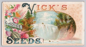 Vick's Seeds Trade Card Rochester New York NY um 1884 - Bild 1 von 2
