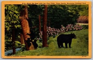 Vtg North Carolina NC Bear & Cubs Great Smoky Mountains National Park Postcard - Picture 1 of 2