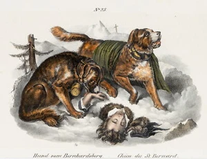 Bernhardiner-Rettungsmission, Lith. Biedermeier Tiere Unbekannt (19.Jhd) - Bild 1 von 5