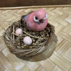 Nido de pájaros y huevos  - Imagen 1 de 11