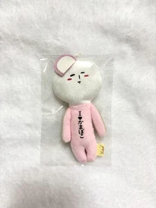 Local Snow Odawara Limited Kamaboko - Picture 1 of 2