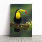 Resting Toucan In Abstract Animal Bird Canvas Wall Art Print Framed Picture