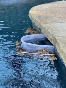 Sistema de red de acción de resorte protector de piscina skimmer protección de hojas - Imagen 1 de 5