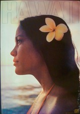 HAWAII Vintage 1976 Travel Tourism poster 24x34 Rolled