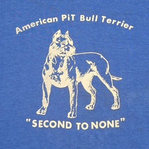 D's Tees "AMERICAN PIT BULL TERRIER" BLAU '89 T-Shirt Gr: XL Detroit Retro 313 - Bild 1 von 7