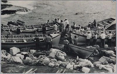 TRISTAN DA CUNHA -  POSTAL HISTORY - POSTCARD 1979 #3 - Image 1 of 2