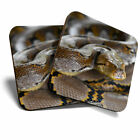 2 X Coasters - Python Snake Borneo Snakes Home Gift #3615