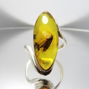 925 Sterling Silver Ring with Fossil Insect Caddisfly inclusion in BALTIC AMBER