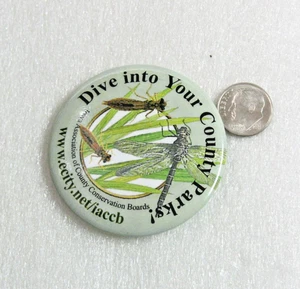 Dive into your County Parks Iowa Assoc. of County Conservation Button Lapel Pin - Picture 1 of 2