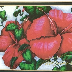 Red Hibiscus Picture Original Pencil Drawing Framed~Teri Inouye~9” Artist Info - Picture 1 of 6