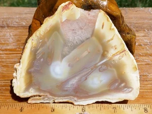 TCR STICK AGATE/JASPER/LAPIDARY ROUGH SLAB 94 GRAMS (INDONESIA) - Picture 1 of 4