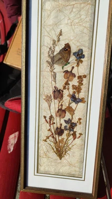 Vintage Reichlin Schweiz Gepresste Getrocknete Blumen Hängendes Blumendekor - Bild 1 von 2