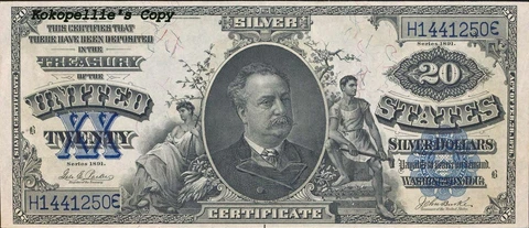 1891 20* Dollar Silver Certificate * Free Shipping * MUST READ ! Cover