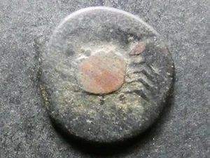 T5.29. Italy, Islands off Sicily, Lopadusa (uncertain), AE17, c.405-397 BCE. - Picture 1 of 2