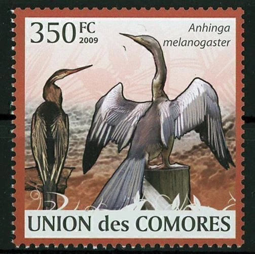 Selo individual Darter Anhinga Melanogaster perfeito estado novo em folha - Imagem 1 de 1