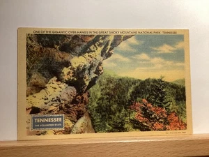Giant Over Hang, Great Smoky Mountains National Park: - Vintage Postcard - Picture 1 of 3