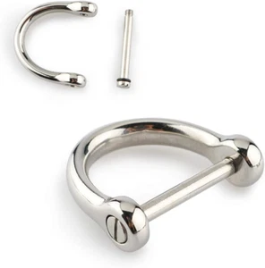2 Pcs D-Rings with Closing Screw Shackle Horseshoe U Shape Key Ring for DIY Craf - Picture 1 of 4