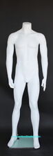 5 ft 8 in Tall Male Headless Mannequin, Body Form, Matte White finish-Stm001Wt