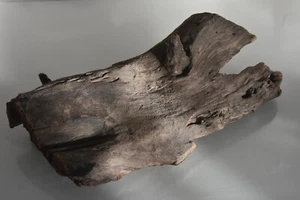 Real Structured Half Open Aquarium Bog Wood SHOBWT Suitable For Fish Aquariums - Picture 1 of 3