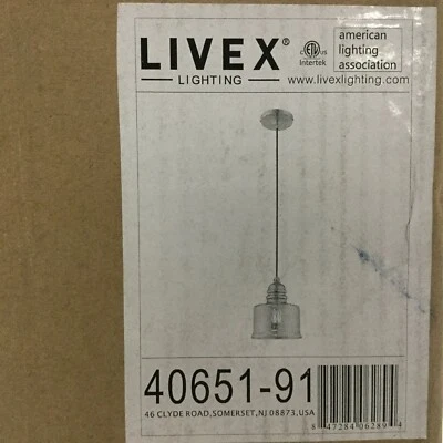 Livex Lighting Art Glass Mini Pendant, Brushed Nickel, 7" Ceiling Light - Image 1 of 4