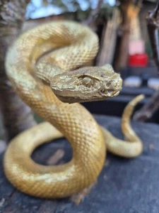 Snake Ornament Statue Figurine Sculpture Home Decor Animal Reptile Gold Resin - Picture 1 of 5