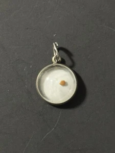 Beau Plata de Ley Amuleto de Fe Semilla de Mostaza Dije - Imagen 1 de 8