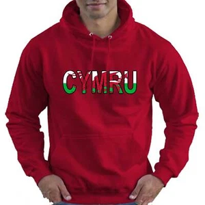 CYMRU Wales Welsh Flag Rugby Childrens Childs Kids Boys Girls Hoodie Hooded Top - Picture 1 of 12