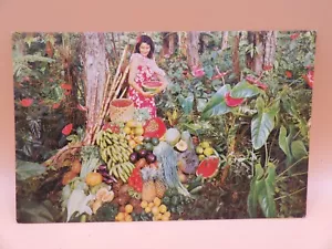 Vintage Postcard Hawaii's Fruits And Vegetables - Picture 1 of 3