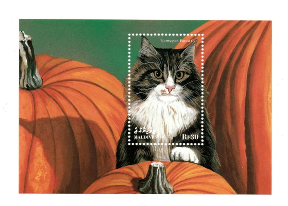 Maldives 1998 - Norwegian Forest Cat - Souvenir Sheet - Scott 2312 - MNH - Image 1 of 1