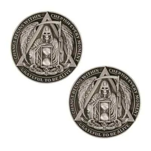 Definitely Sober Coin AA Chip Medals Recovery Gift For Men And Women 2pcs - Picture 1 of 9