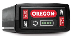 Oregon 40V CS300 Chainsaw - Picture 1 of 4