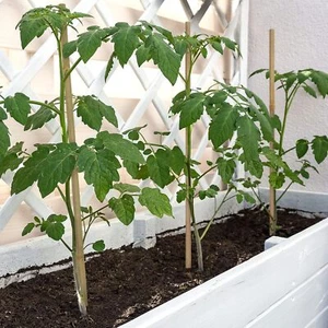 Plant Stakes,18 Inches Natural Garden Bamboo Sticks, 20Pcs Plant Support Stak... - Picture 1 of 1