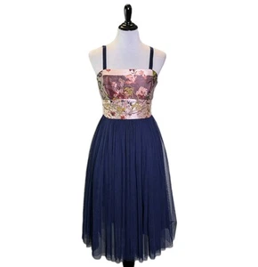 Anthropologie Moulinette Soeurs Brocade Tulle Party Dress Size 4 Navy Blue Pink - Picture 1 of 9