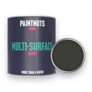 Pintura multisuperficie - RAL-6015 - NEGRA OLIVA 250 ml lata de pintura - Imagen 1 de 11