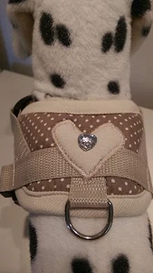 Softgeschirr  Brustgeschirr Hundegeschirr Halsband XS-M Welpen braun getupft - Bild 1 von 1