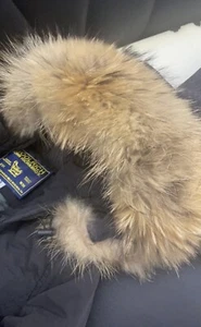 woolrich donna - Foto 1 di 4